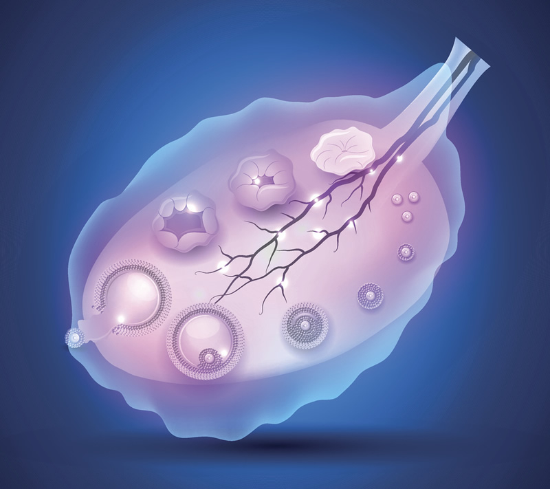 2026泰国试管婴儿技术排名一览，费用肯定惊人